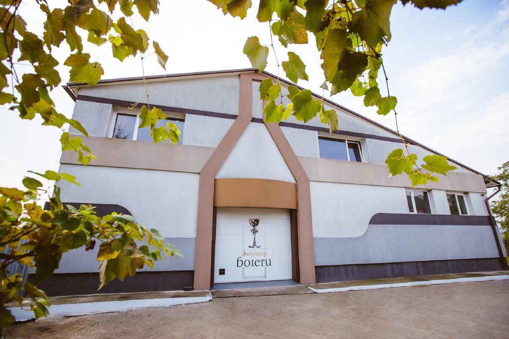 Отель Casa Domeniile Vinului Аюд Экстерьер фото
